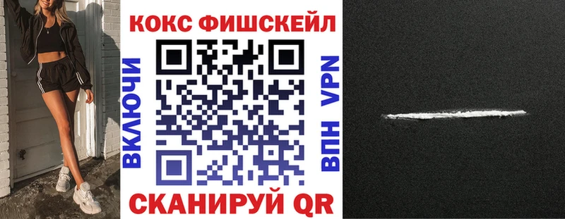 Купить закладки  Ярославль  Кокаин Fish Scale 