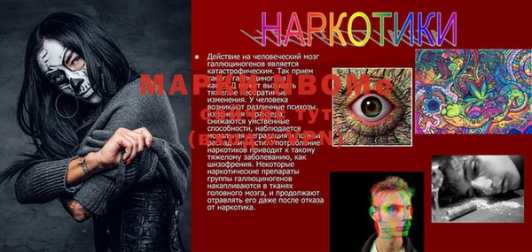 PSILOCYBIN Майский