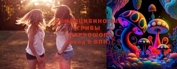 PSILOCYBIN Майский