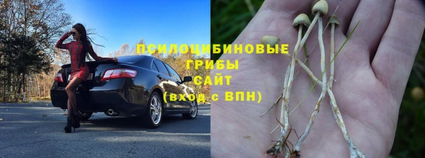 PSILOCYBIN Майский