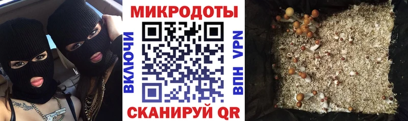 Галлюциногенные грибы мицелий  Купить где  Ярославль 
