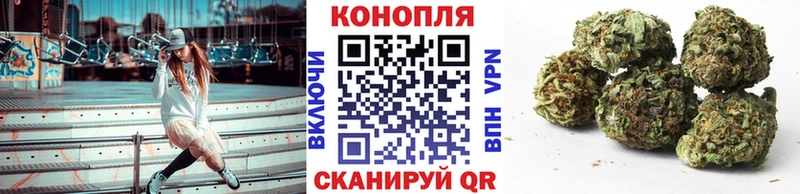 Купить закладки  Ярославль  Бошки Шишки сатива 